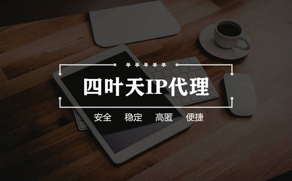 【清远代理IP】如何快速搭建代理IP？怎么检查代理的效果？